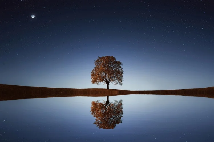Feb 2019: On living in the Burnout Generation: a call for purpose-driven work