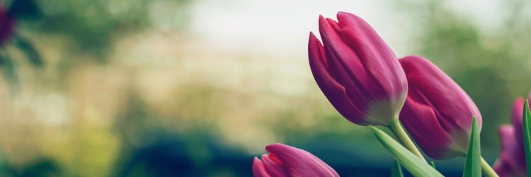 March 2016: Spring into action: Building your personal brand 🌷