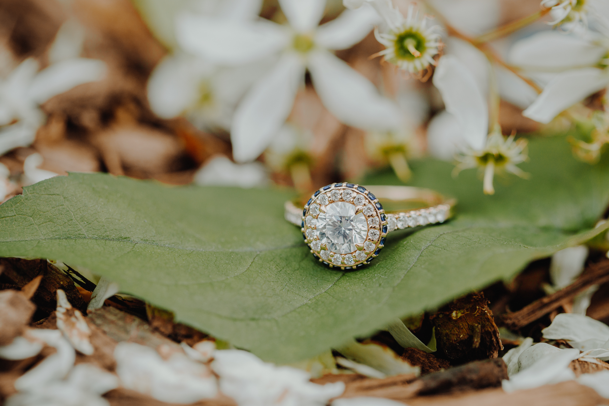 Brilliant DUMBO Engagement Photos