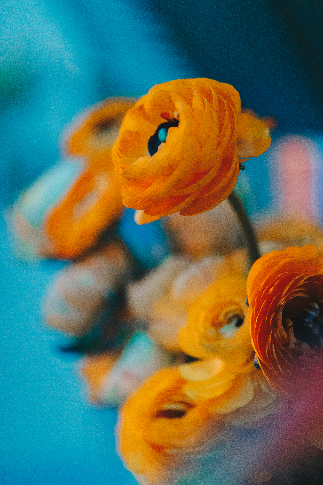 Brooklyn wedding Flower