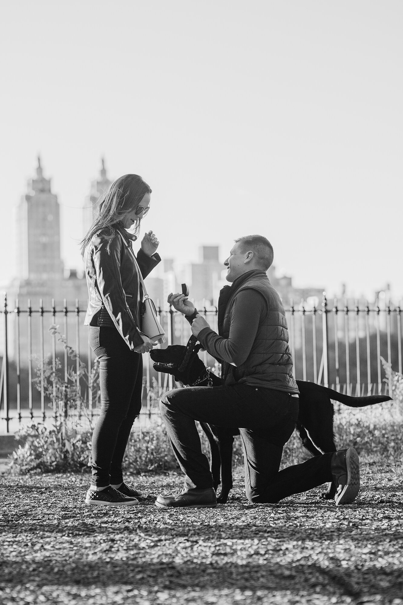 Breathtaking Secret Proposal Photos in Central Park NYC