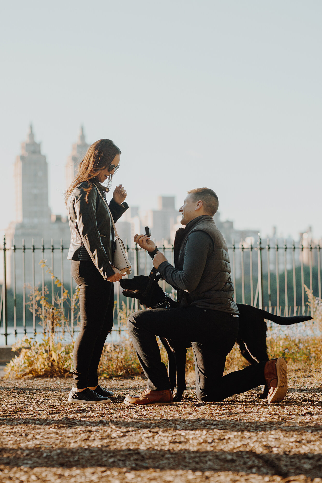 Magical Secret Proposal Photos in Central Park NYC
