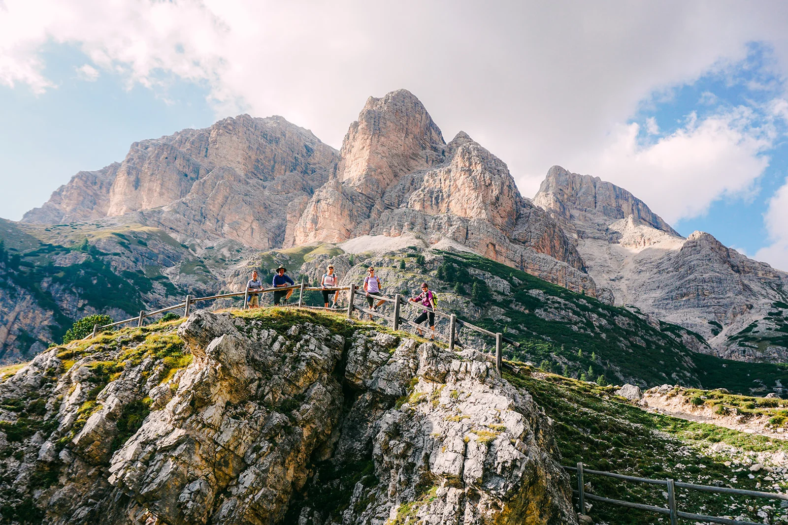 alps-elevated-120.jpg