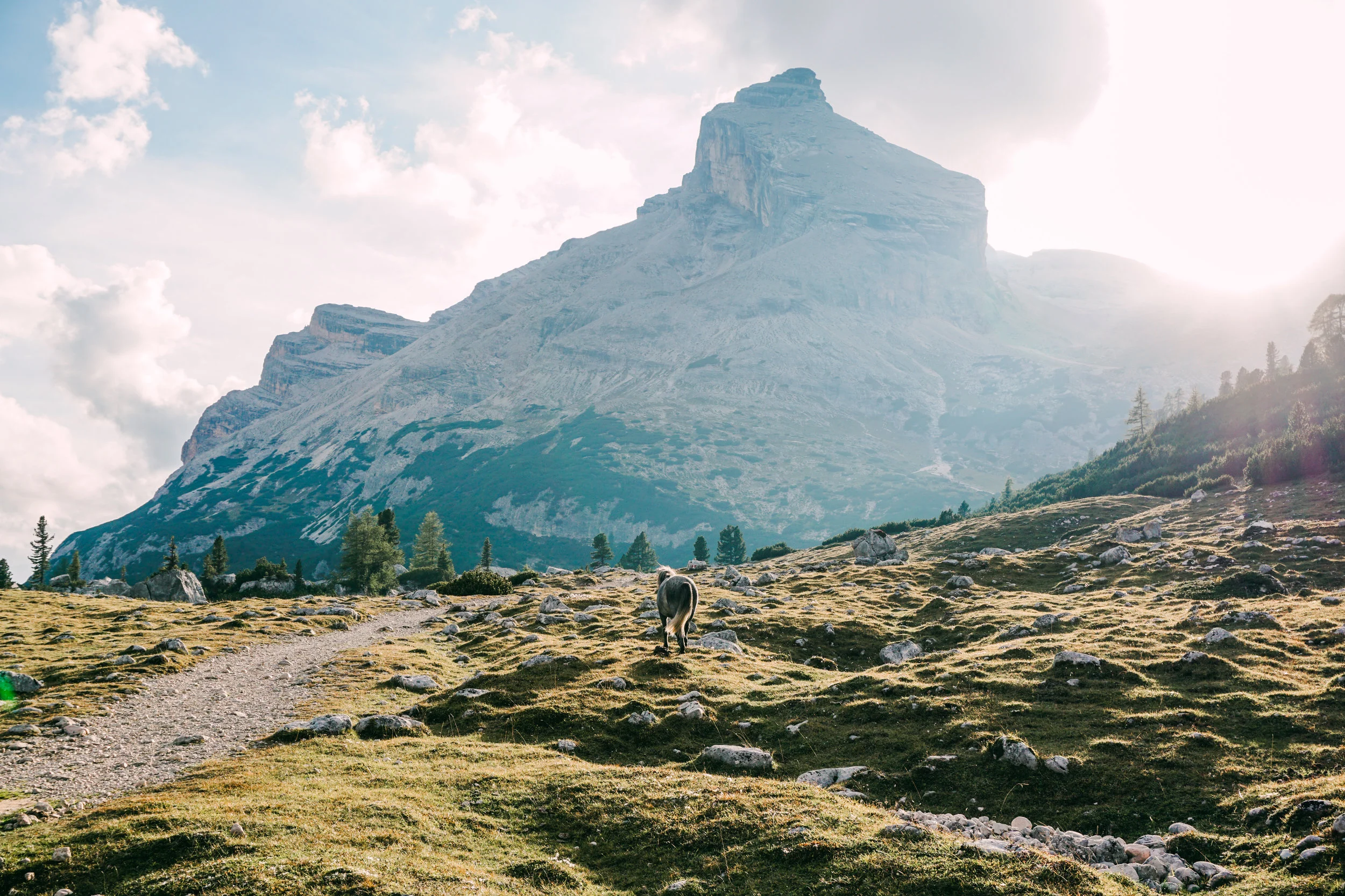 alps-elevated-128.jpg