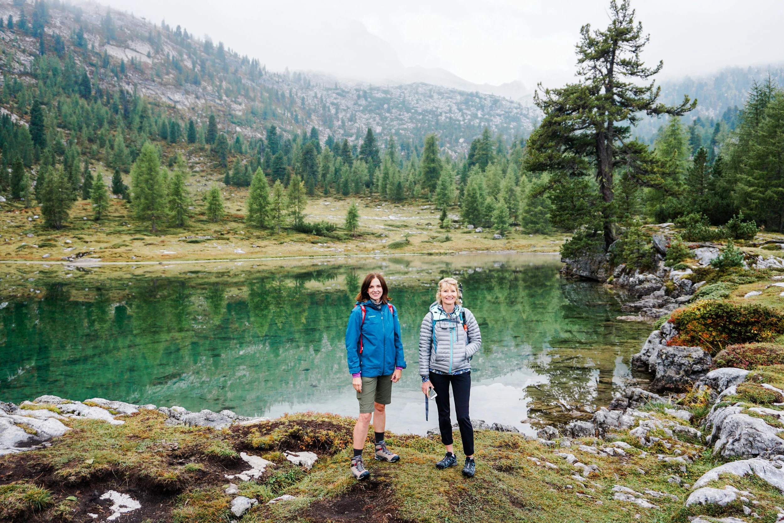 alps-elevated-131.jpg