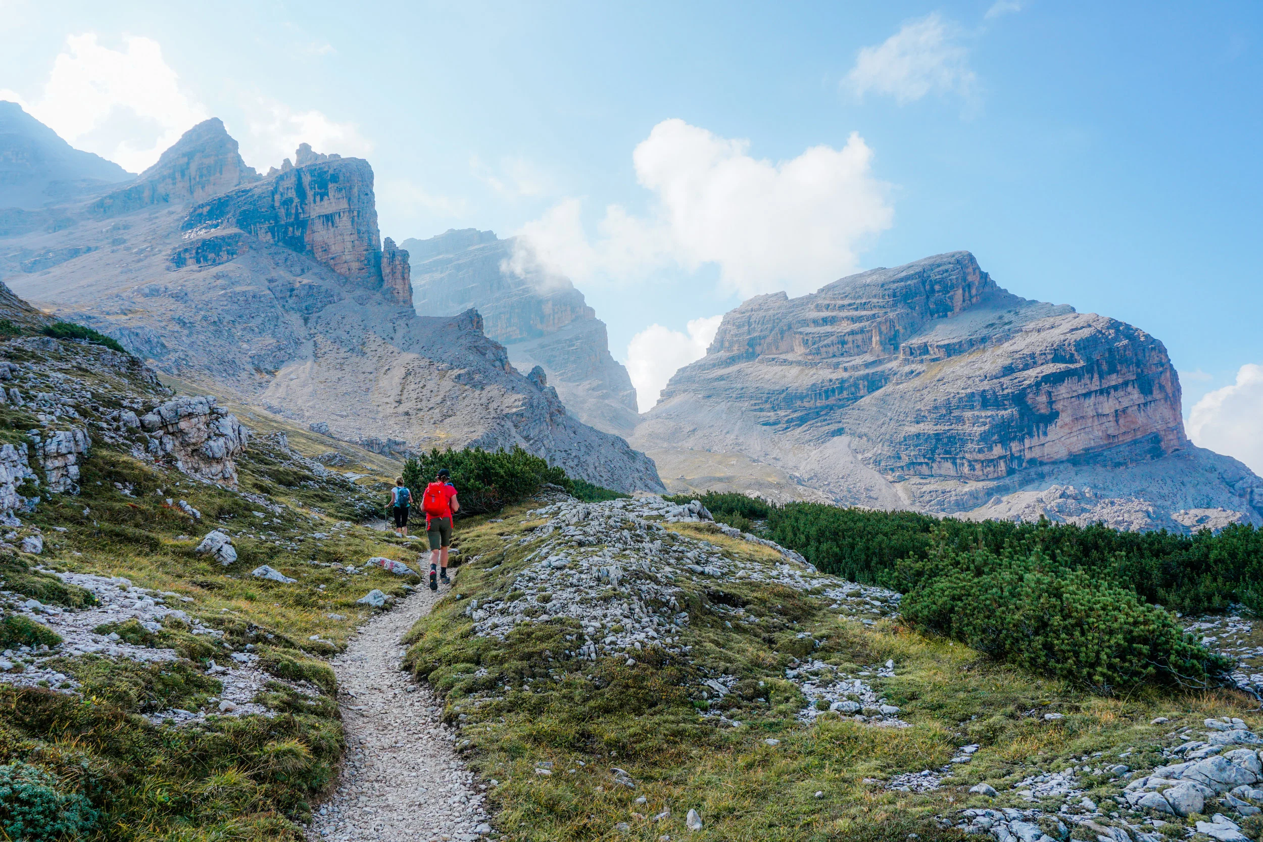 alps-elevated-135.jpg
