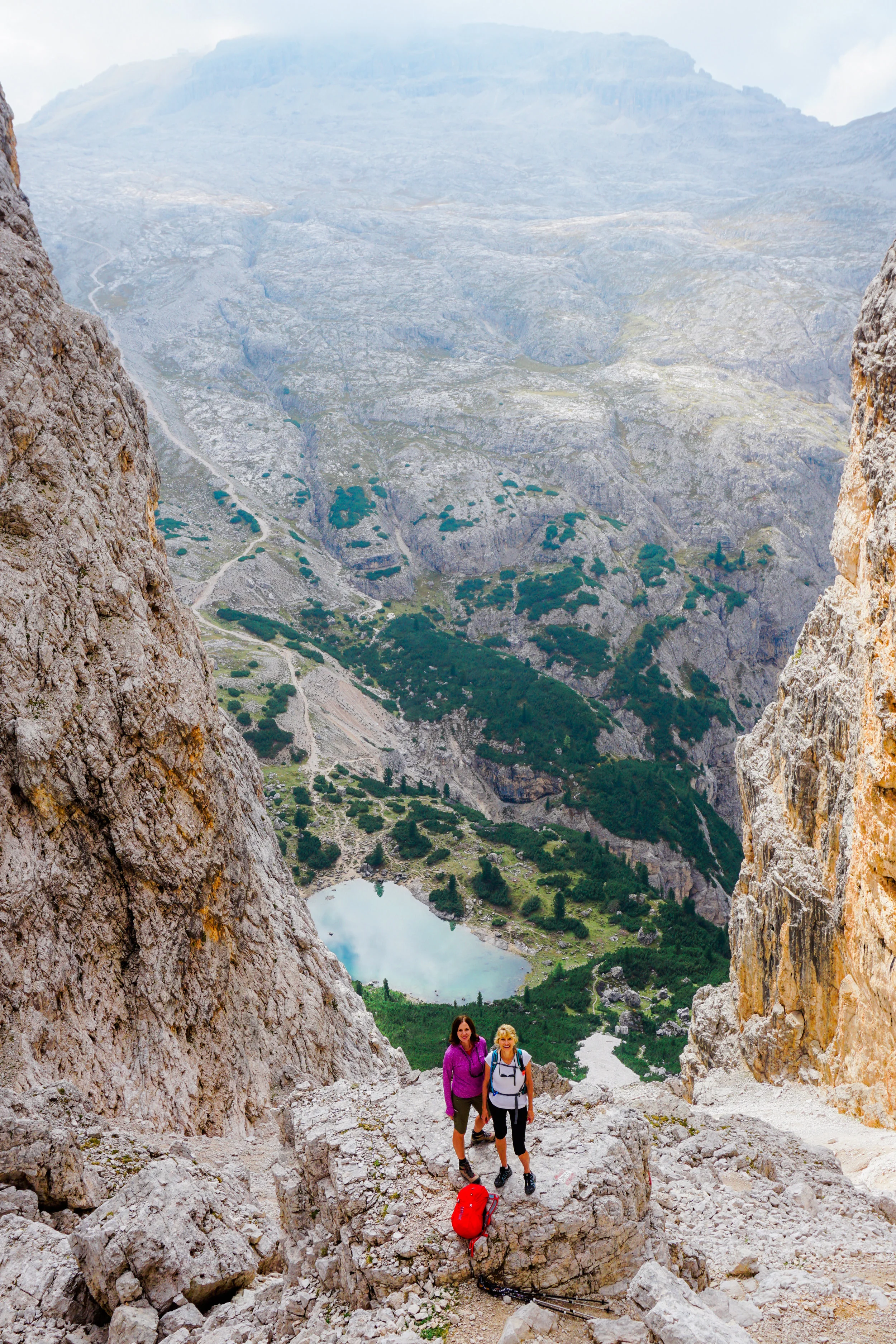 alps-elevated-140.jpg