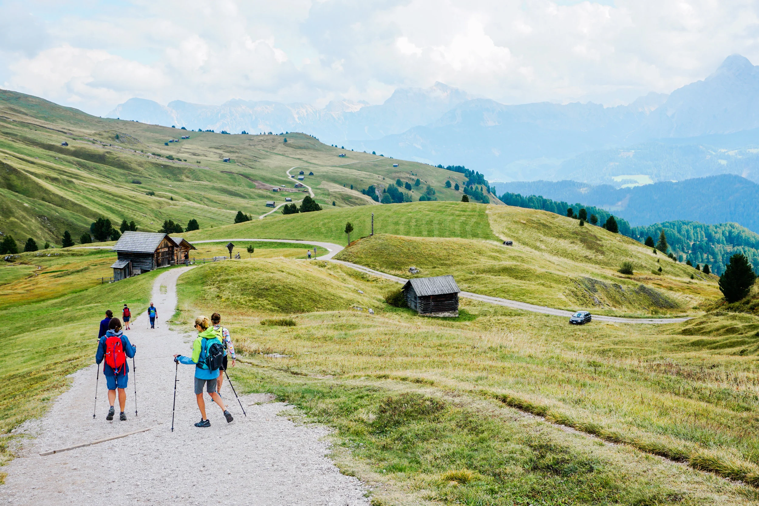 alps-elevated-161.jpg