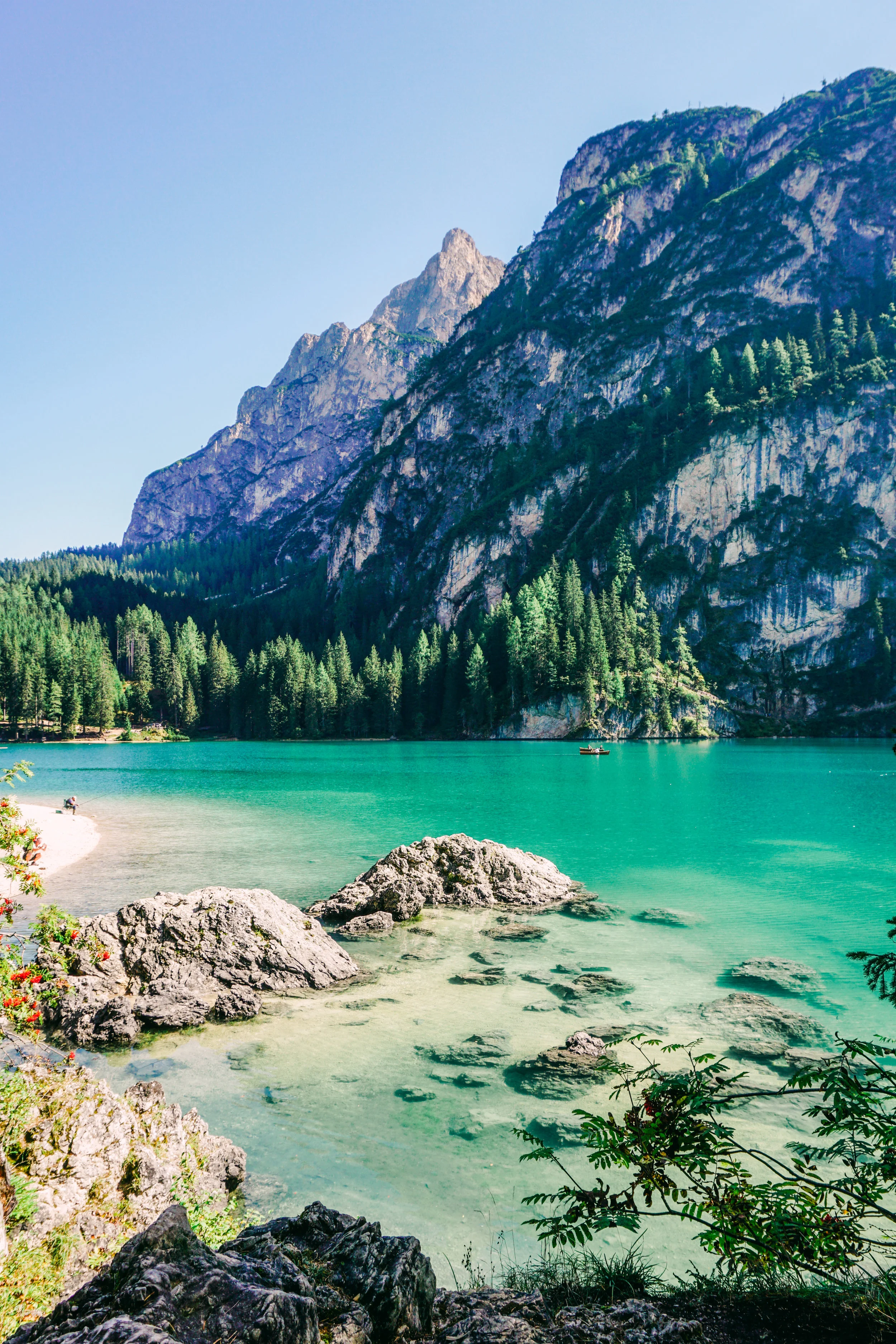 alps-elevated-166.jpg