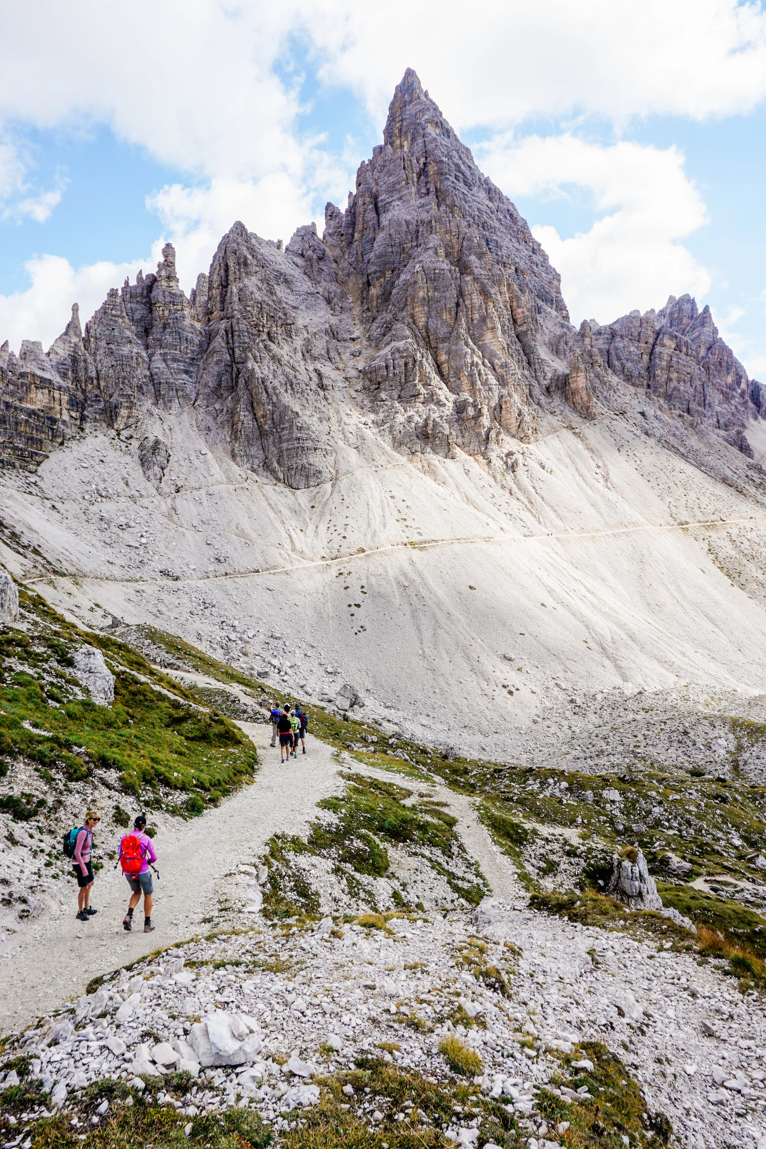 alps-elevated-193.jpg