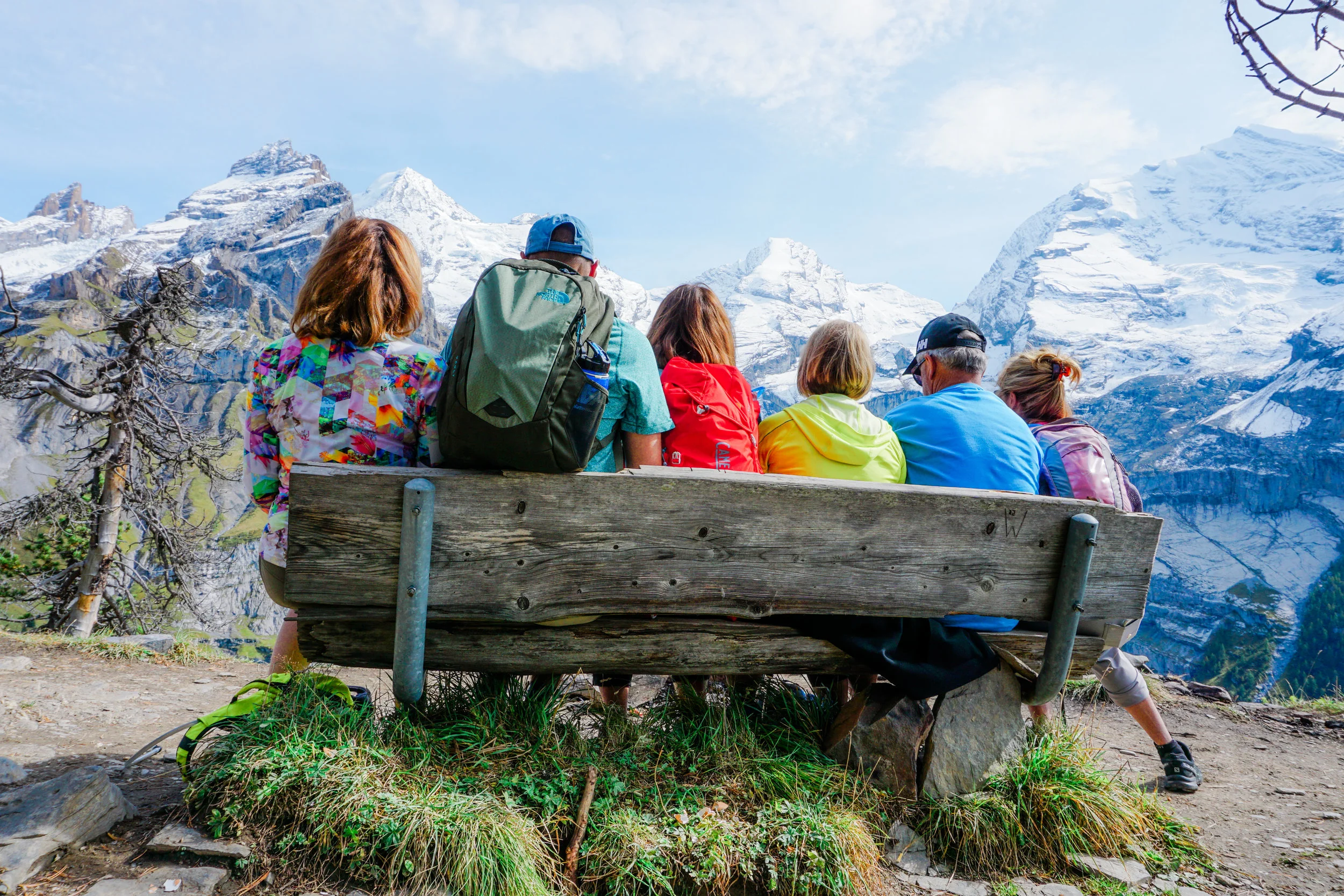 alps-elevated-61.jpg