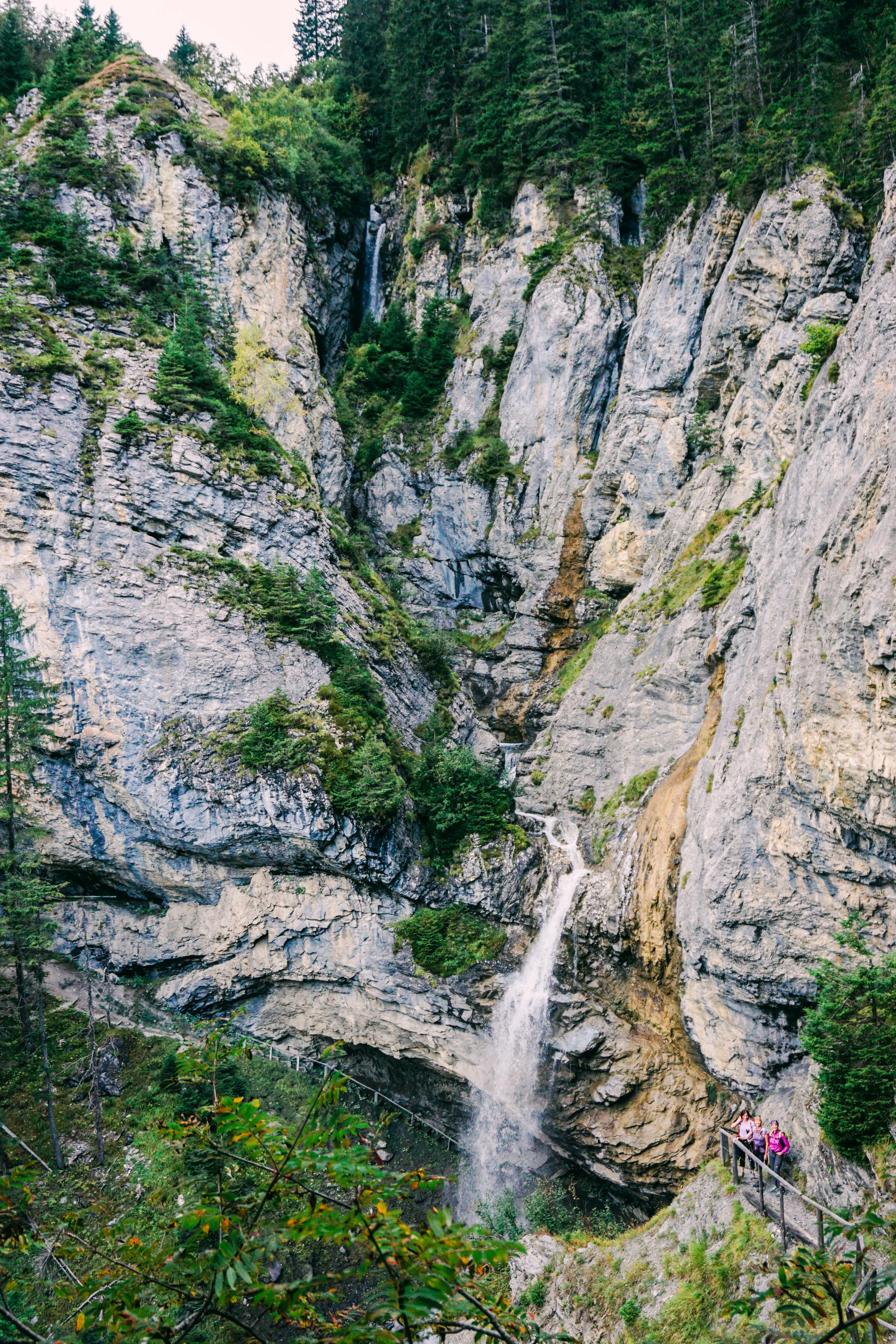 alps-elevated-85.jpg