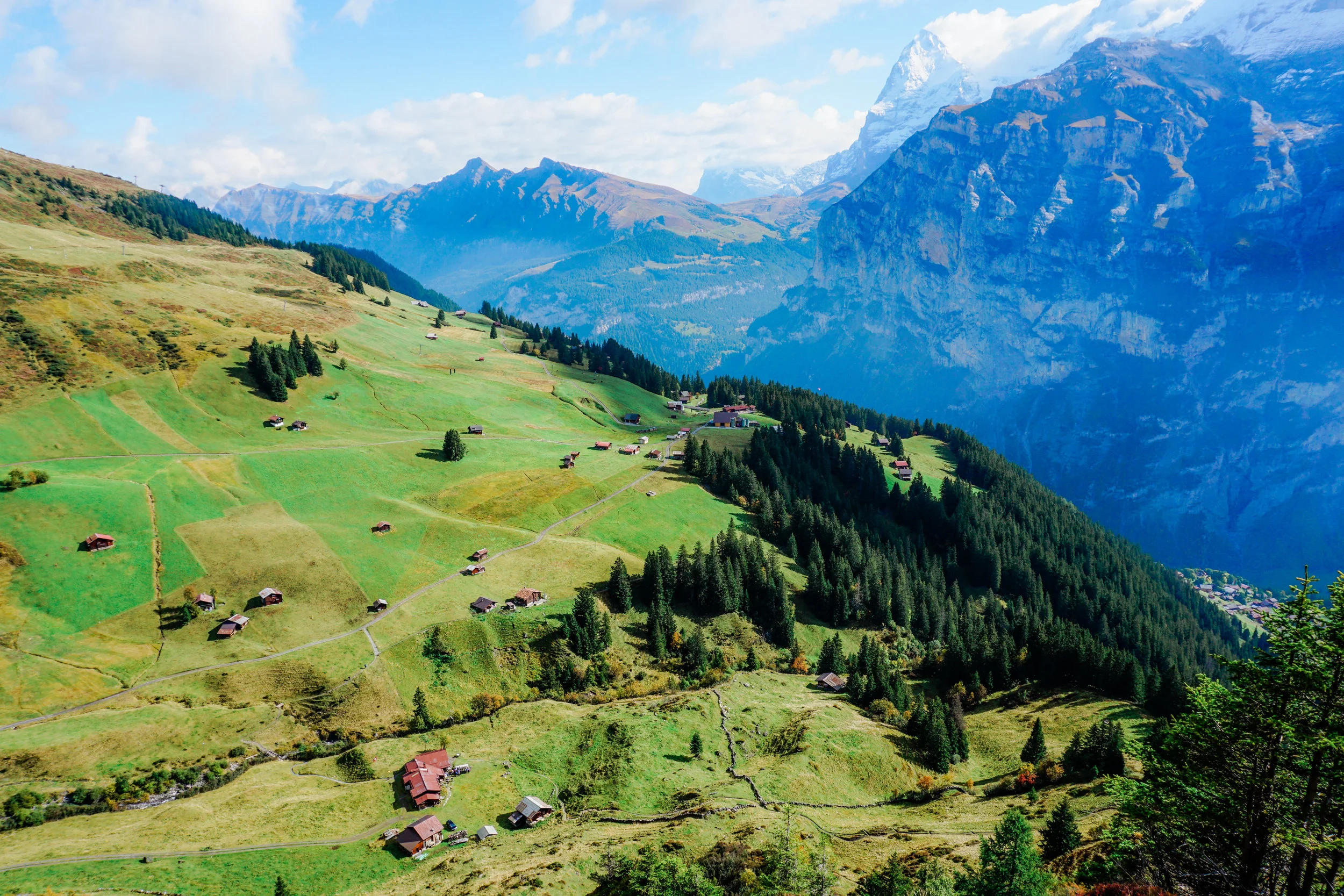 alps-elevated-89.jpg