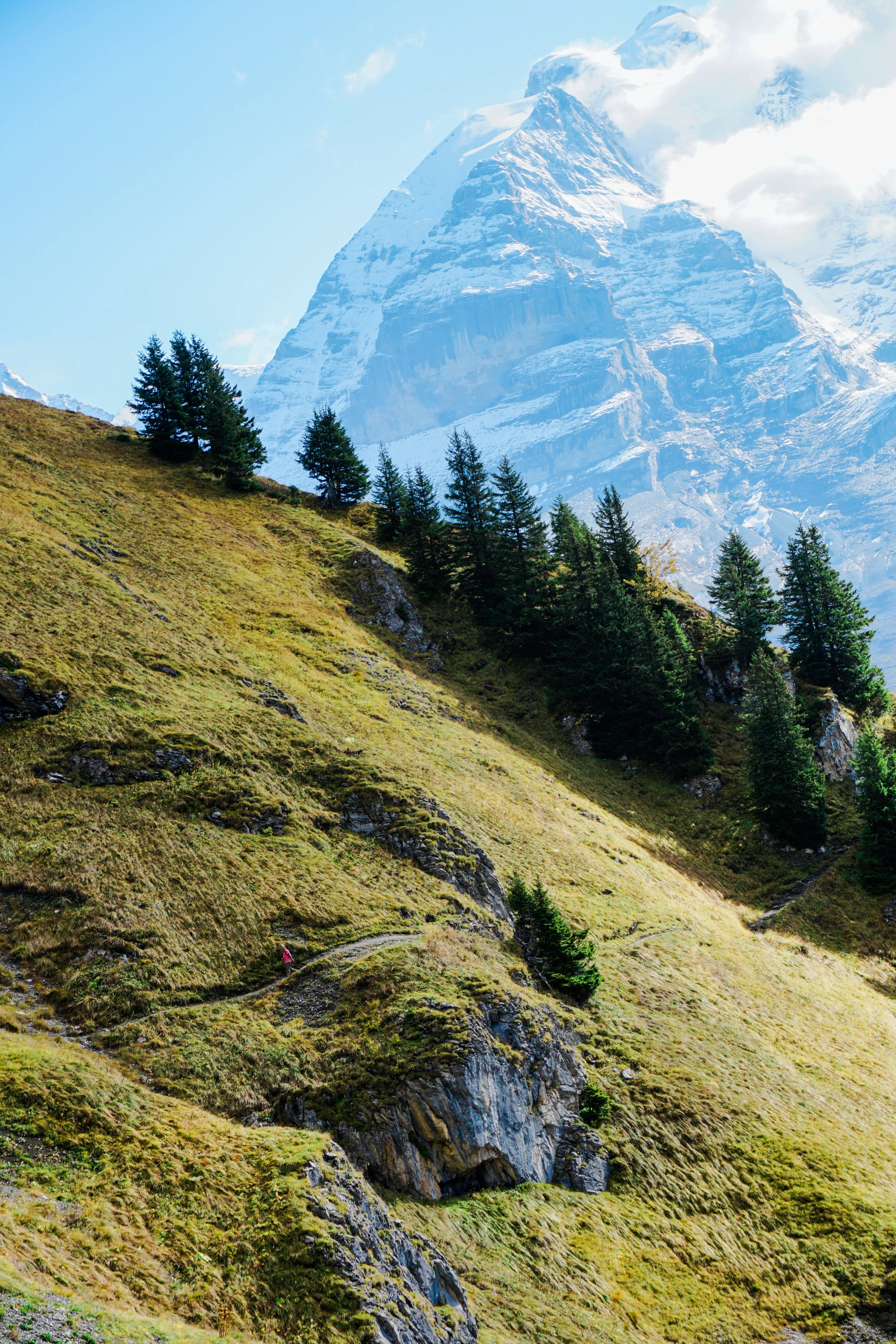 alps-elevated-91.jpg