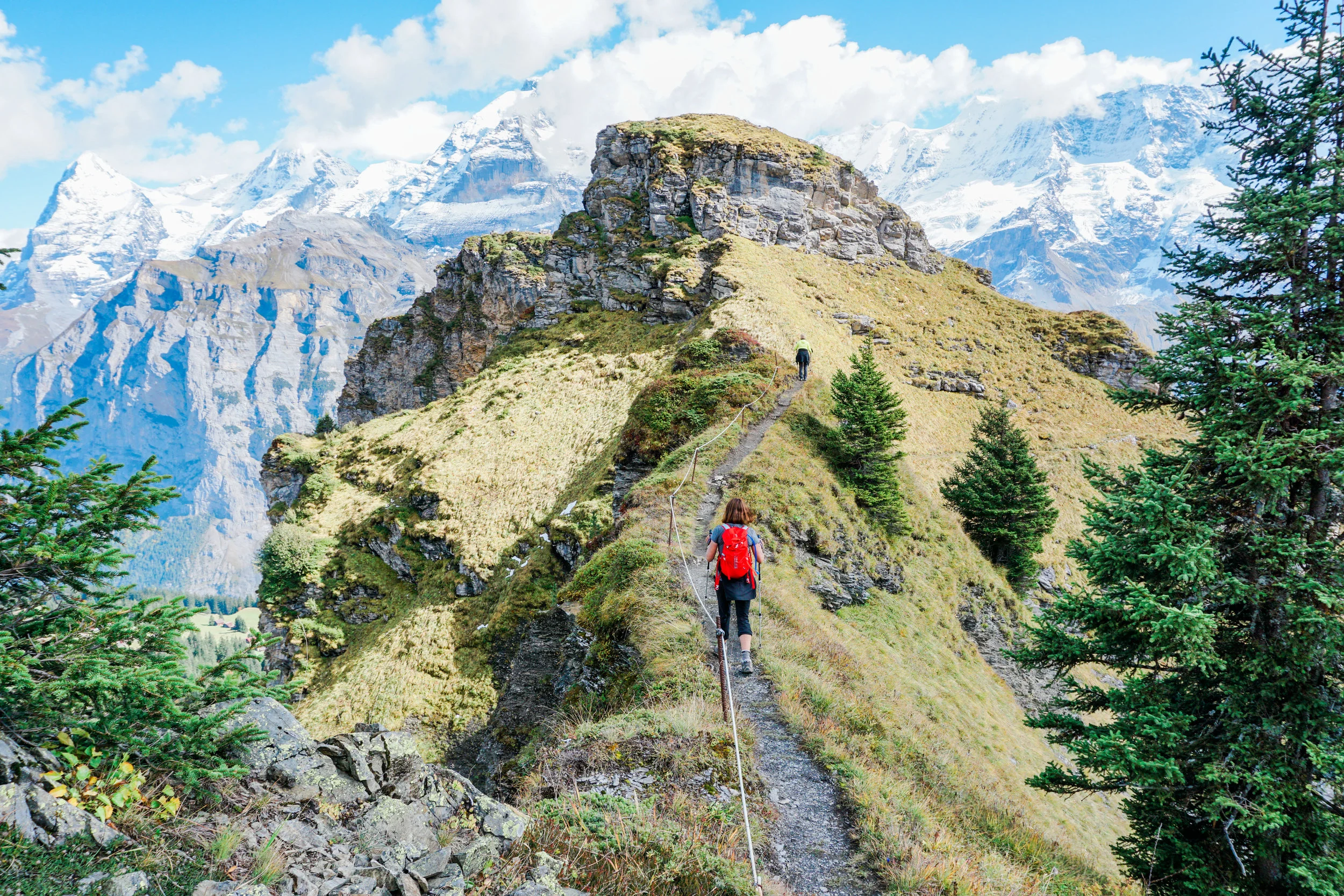alps-elevated-97.jpg