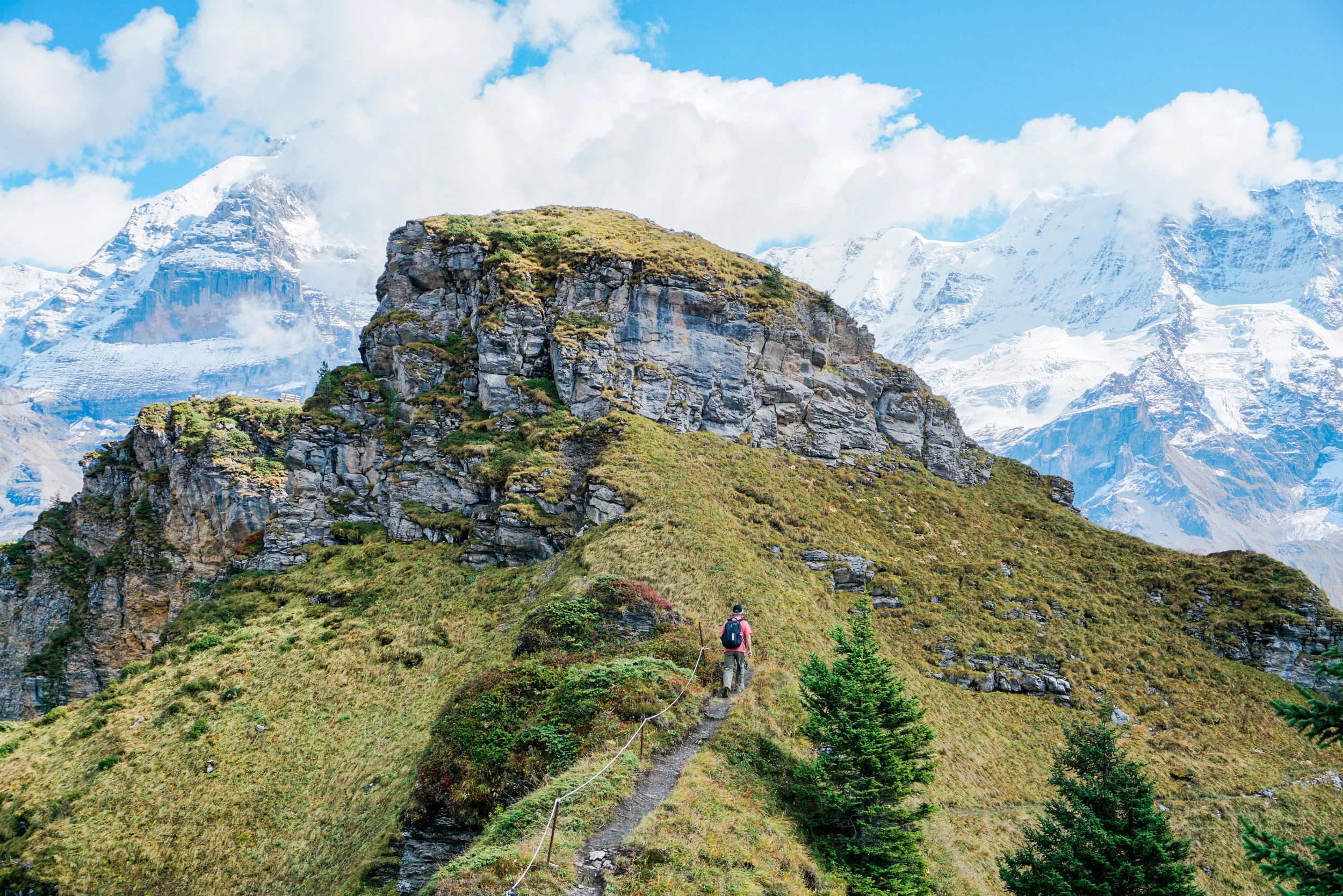 alps-elevated-98.jpg
