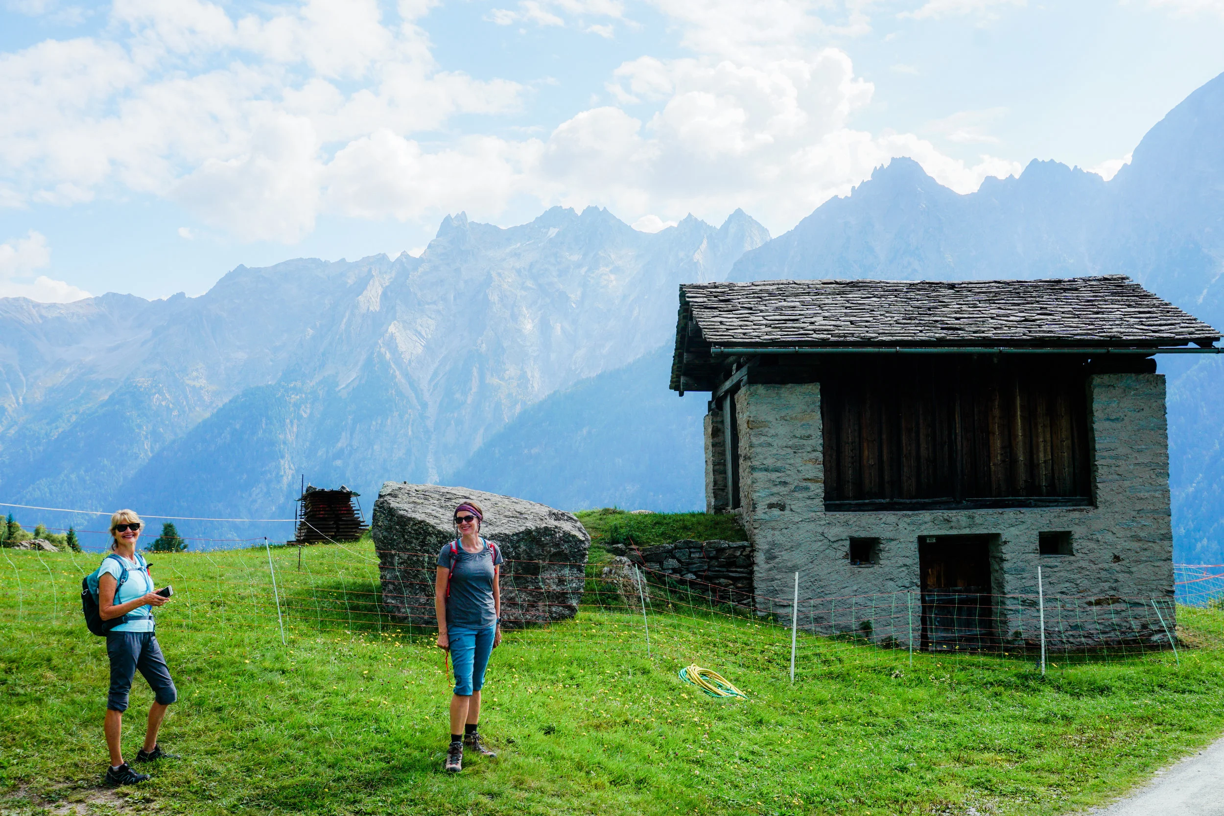 alps-elevated-100.jpg