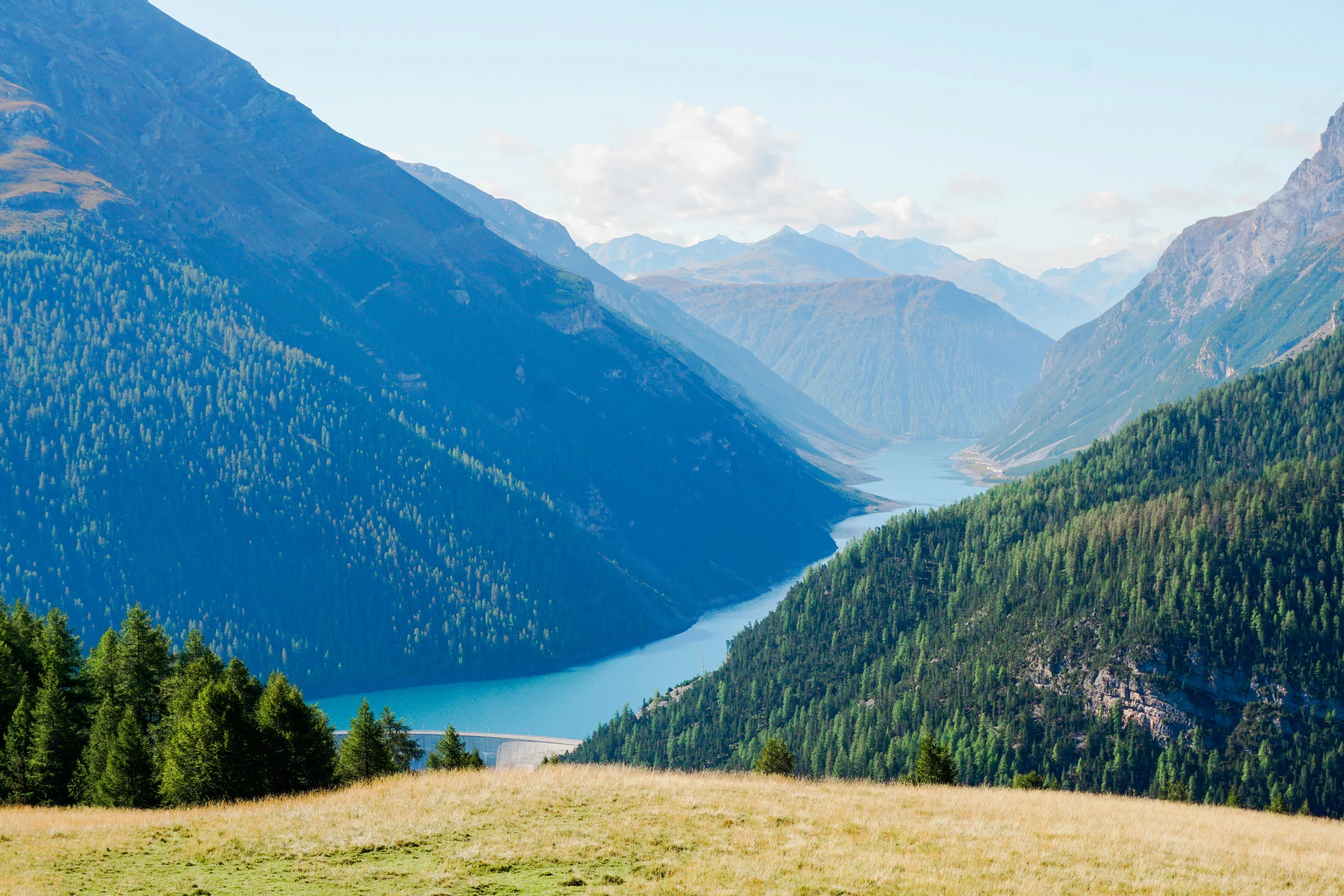 alps-elevated-106.jpg