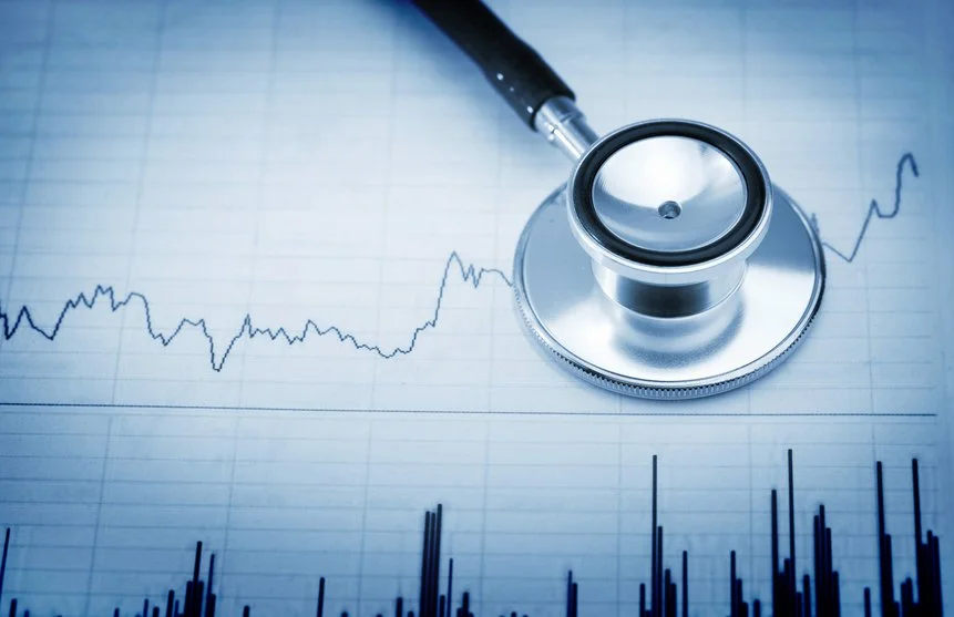 The activist perspective