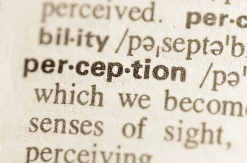Benefits of a Perception Study
