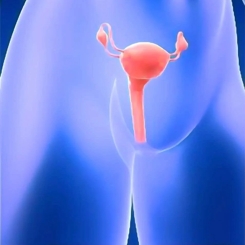 Uterus: A Selection from Etgar Keret’s The Bus Driver Who Wanted to be God &amp; Other Stories (2015)