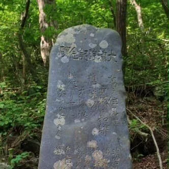 Tsunami Stone Stupid: A Selection from Douglas Rushkoff’s Team Human (2019)