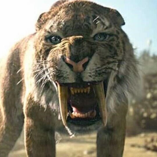 Catastrophic Depopulation and the Columbian Exchange: A Selection from Charles C. Mann’s 1491 (2005)