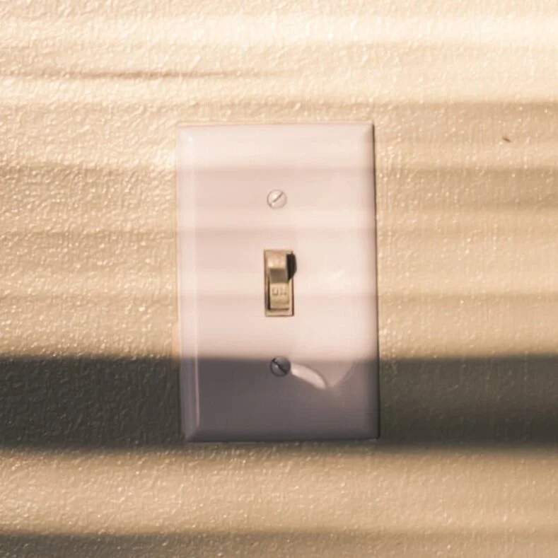 Self-Improvement: A Selection from Tony Hoagland’s Donkey Gospel (1998)