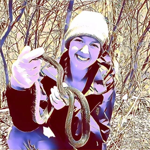 QUEENSNAKE (E81) episode artwork