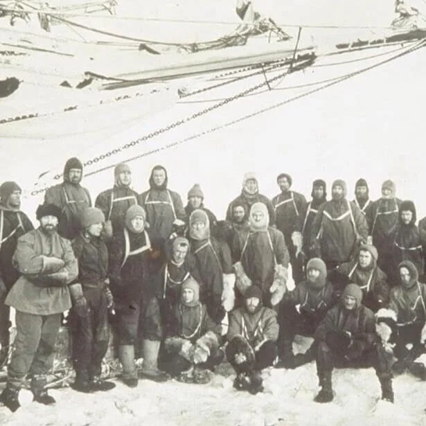 Stranded in Antarctica: A Selection from Nicholas A. Christakis’s Blueprint (2020)