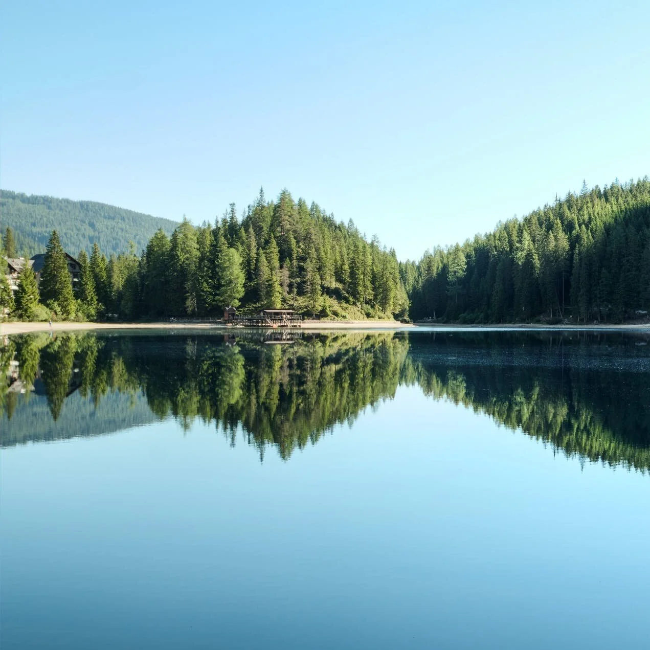 Nature: A Selection from Tony Hoagland’s Unincorporated Persons in the Late Honda Dynasty (2010)
