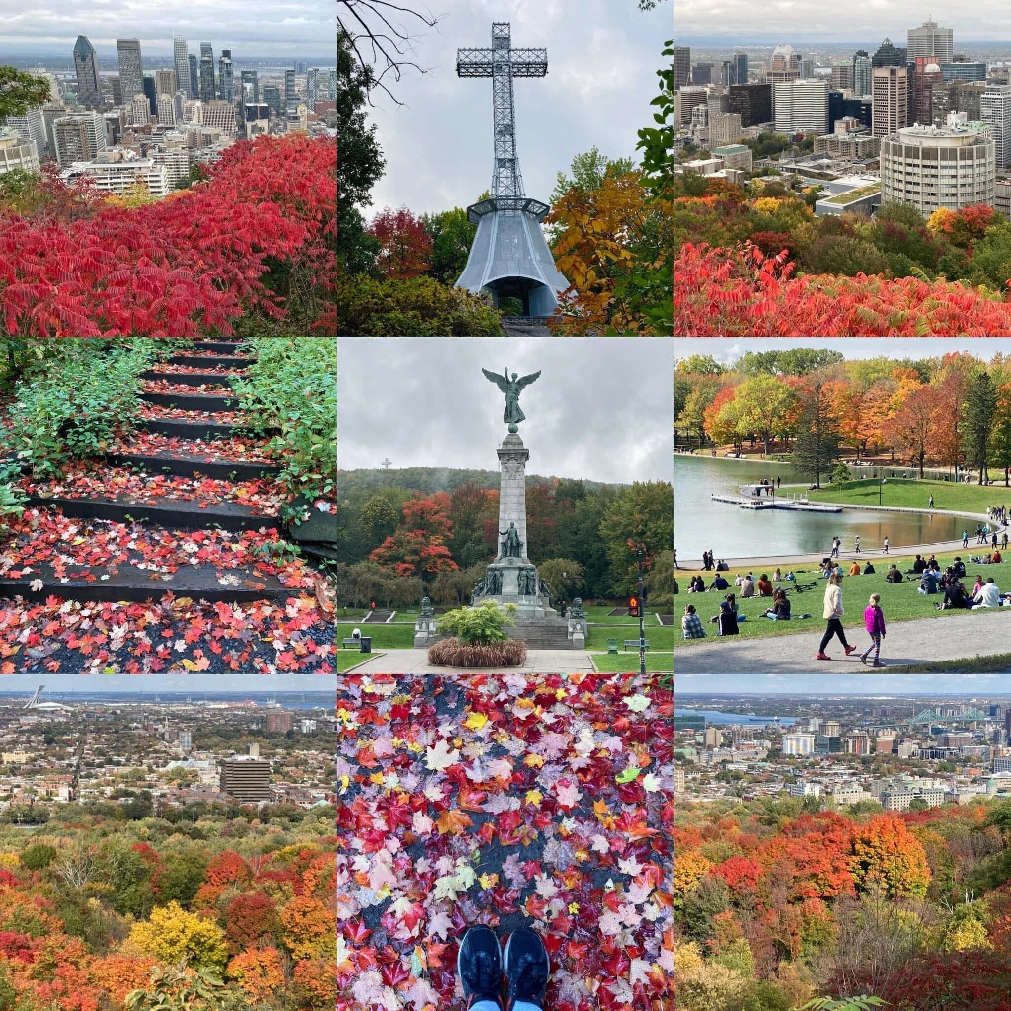 Totally: A Selection from Tony Hoagland’s Donkey Gospel (1998)