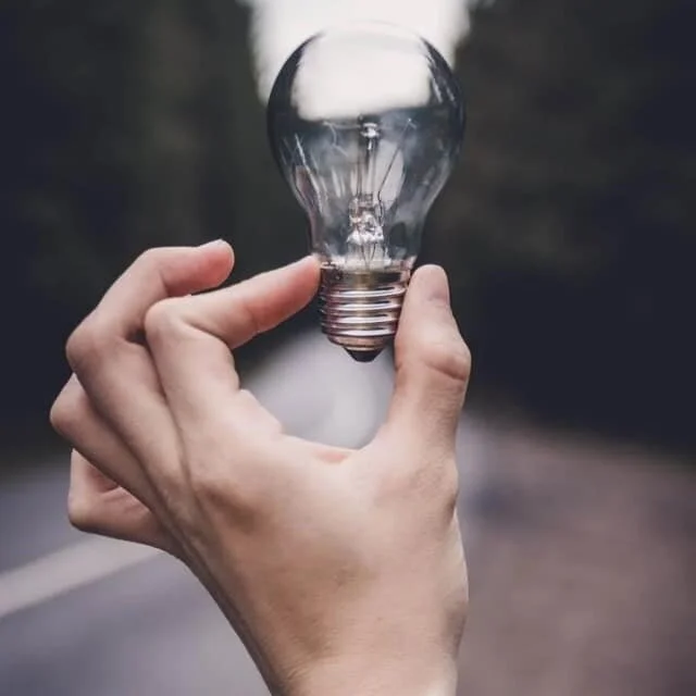 Turning Societies into Collective Brains: A Selection from Joseph Henrich’s The WEIRDest People in the World (2020)