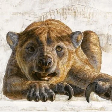 What Happened to the Megafauna?: A Selection from Joseph Henrich’s The Secret of Our Success (2017)