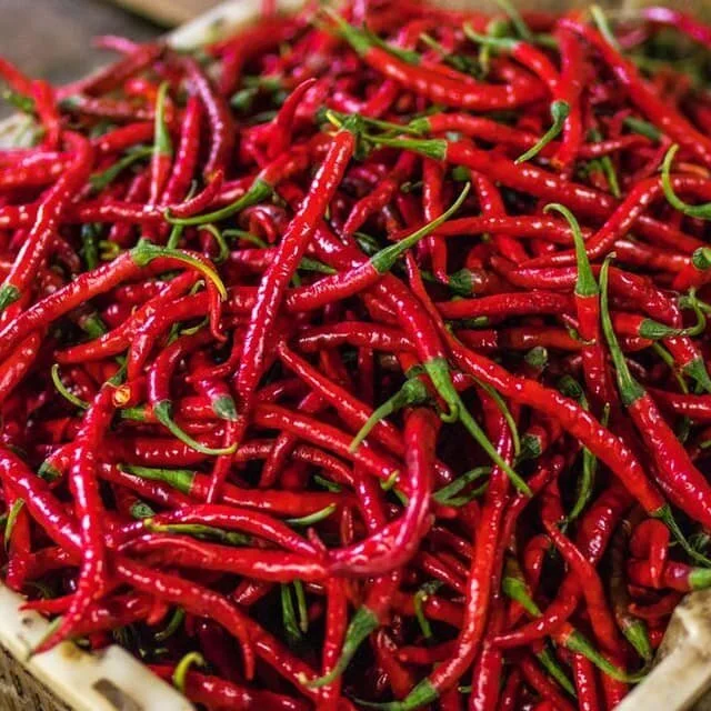 Why Chili Peppers Taste Good: A Selection from Joseph Henrich’s The Secret of Our Success (2017)