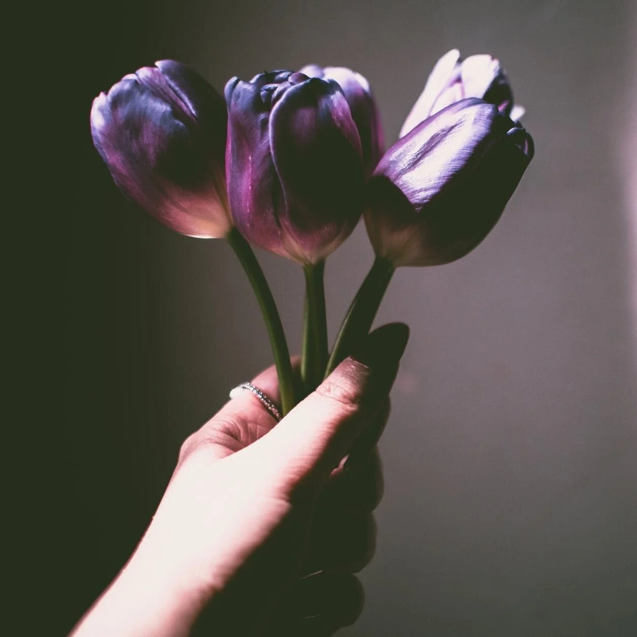 The Time Wars: A Selection from Tony Hoagland’s What Narcissism Means to Me (2003)