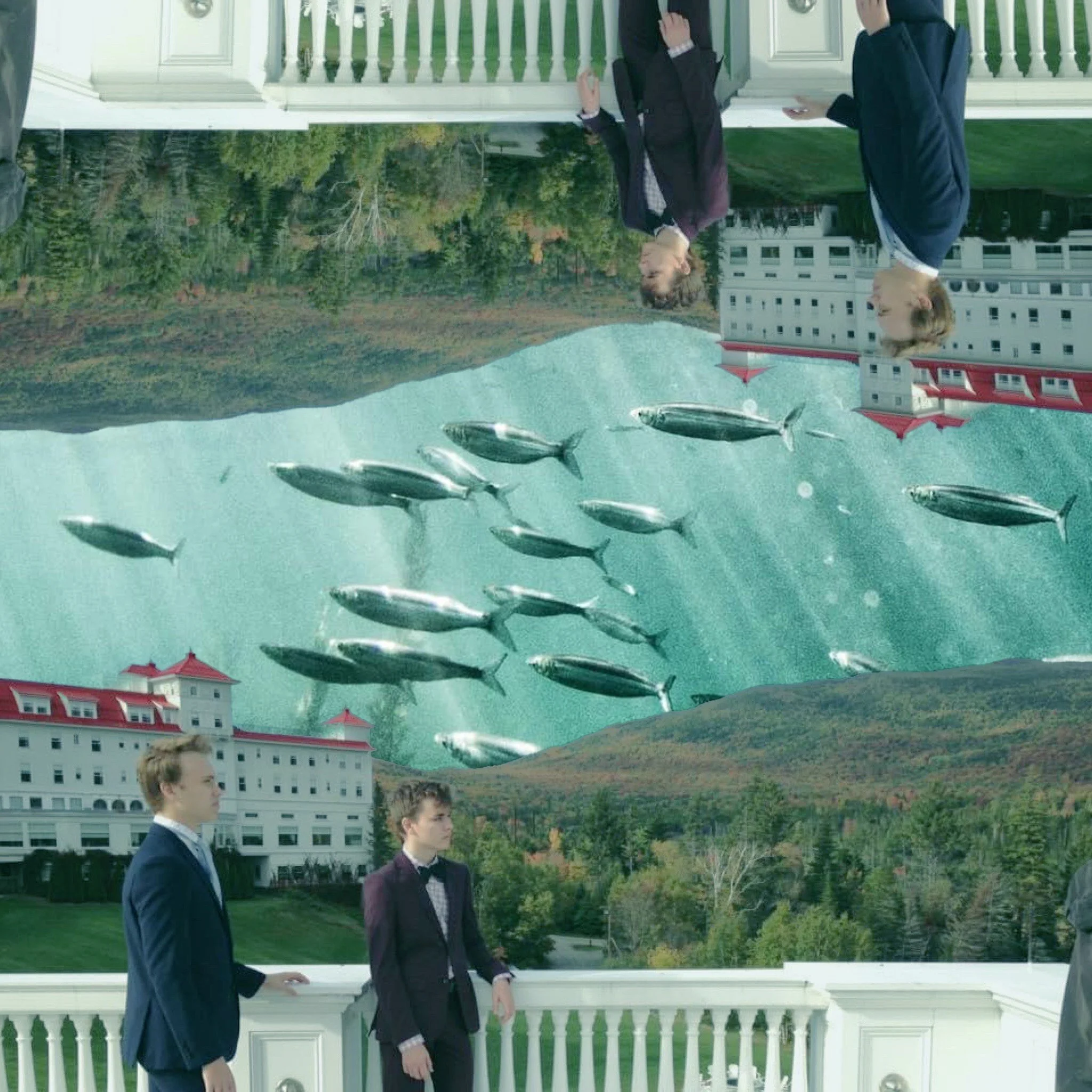 The Social Life of Water: A Selection from Tony Hoagland’s Application for Release from the Dream (2015)