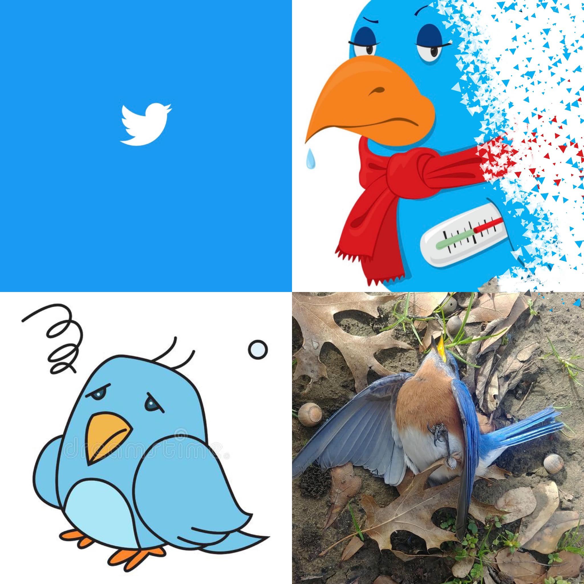 What Twitter Teach Us: A Selection from Johann Hari’s Stolen Focus (2022)