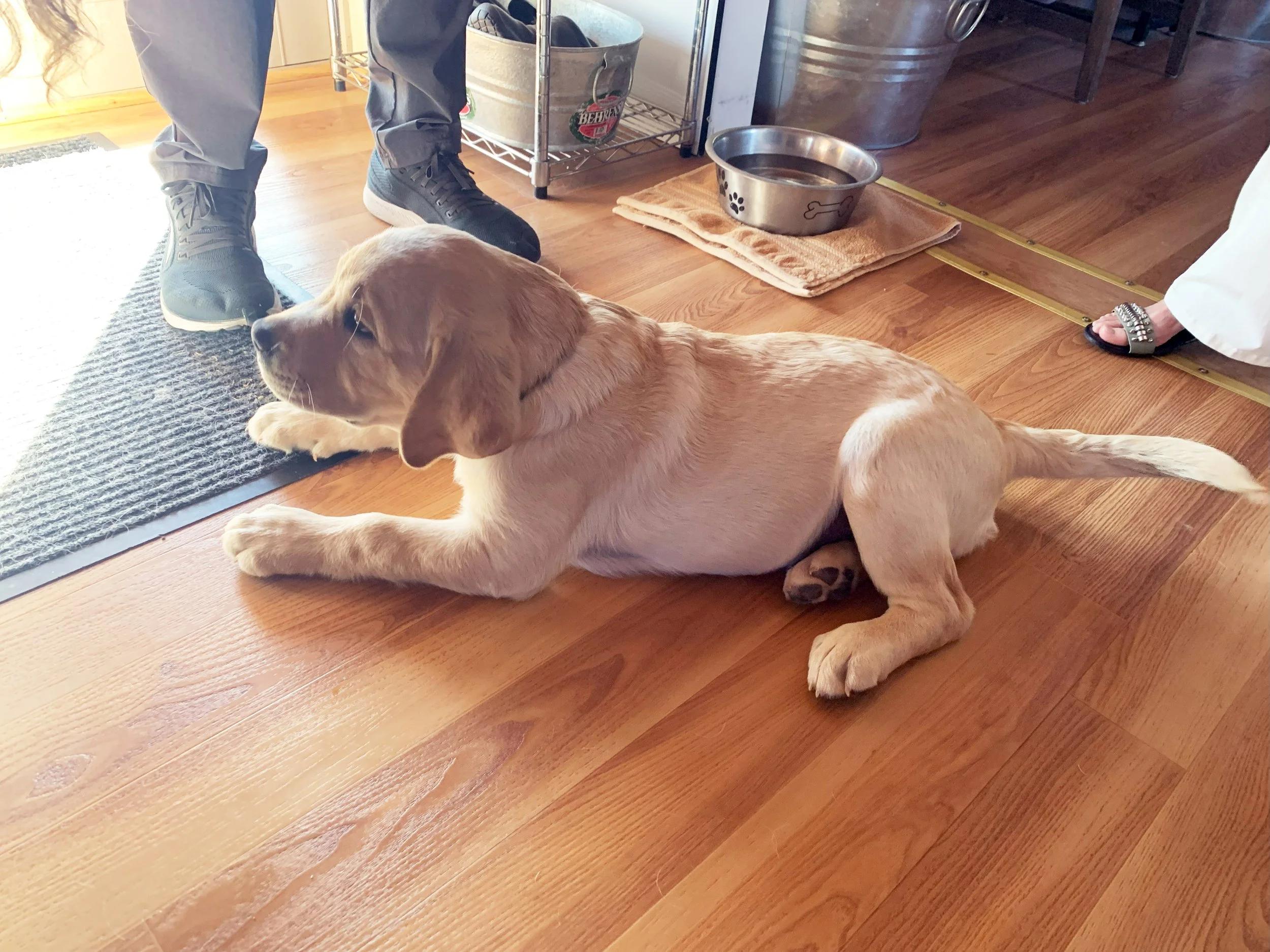 liberty_on_floor.jpg