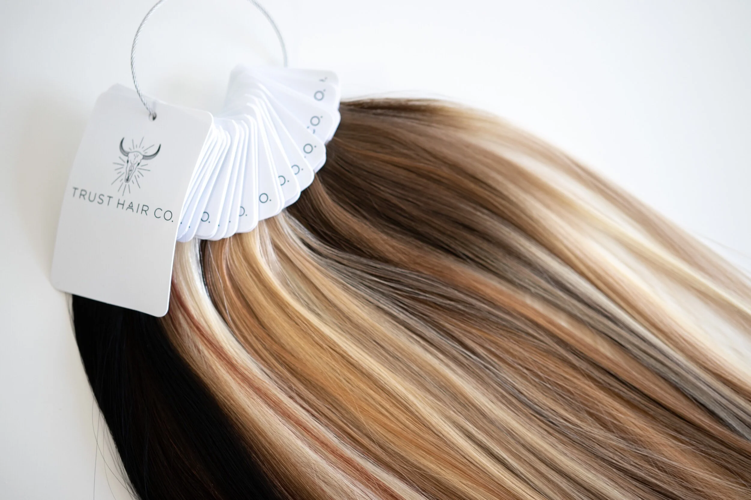 3EF7B390-98EE-42D2-A678-DCF313D4BC2F