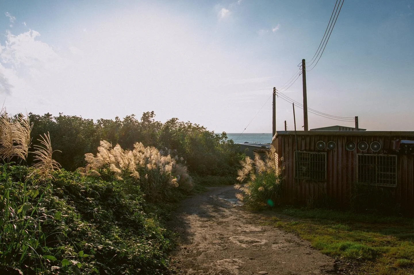 前陣子發現幾年前常獨自前往的私房菜園（釣場）被觀光化整治一番，失去了原有的幽謐原始感。

其實有點難過，大概就跟突然發現自己失戀一樣糾結；沒有變的只有海濤聲與鹽水的味道，還有熱辣夕陽敦促你莫再直視。