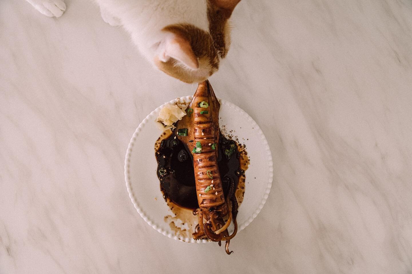 最近睡前都在看日本魚市介紹魚種跟現場爽吃的庶民料理方法，搞得好想吃海味。

趁著一早跑去買了一些好料，回家路上想到大概快十年前，一個日本藝術家朋友分享他在漁村煮鎖管的配方，便照著記憶試著煮了一下。

把醬油、料酒、味霖、砂糖煮汁，同時放入小卷不停淋汁，等到入味拿起小卷，把剩下湯汁收到自己滿意程度。

灑上蔥花、醃漬薑片，再淋上醬汁，配上啤酒，超爽！