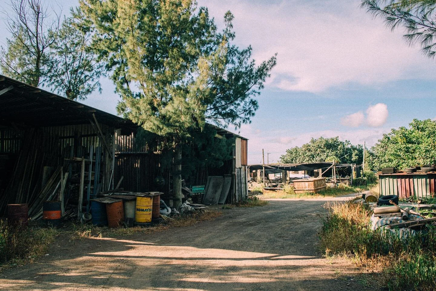 真心覺得自己是勘景魔法師，Pentax 的油潤感只有讚。