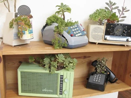   For Louis, creating "PRODUCT TAKE-BACK POLICY" was a welcome departure from digital media, into the realm of sculpture. The pieces are about biology's ability to survive technology and suggest one way that nature and human culture might find balanc