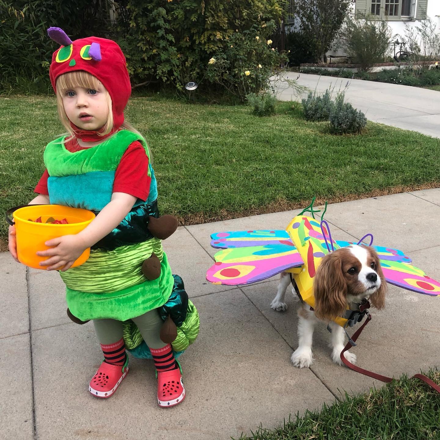 A Very Hungry Caterpillar and her Beautiful Butterfly 🐛🦋 #HappyHalloween @worldericcarle @officialericcarle