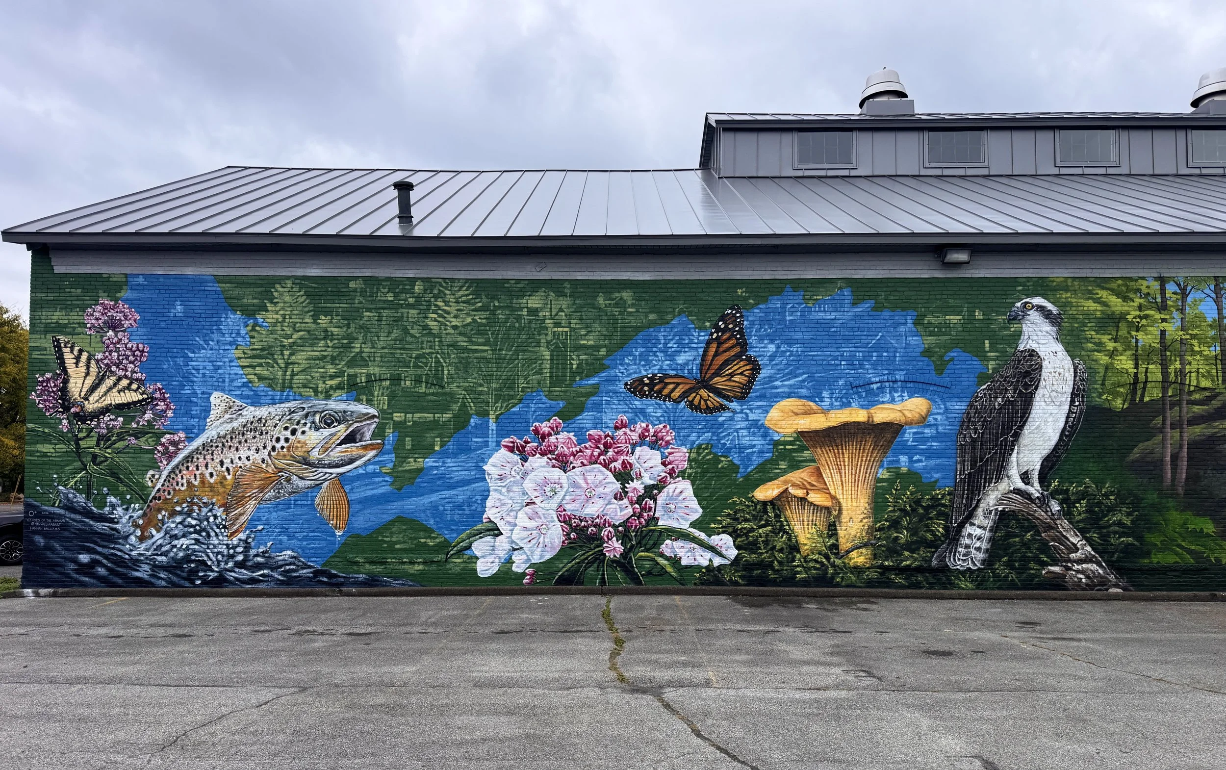 Echoes of the Ashokan