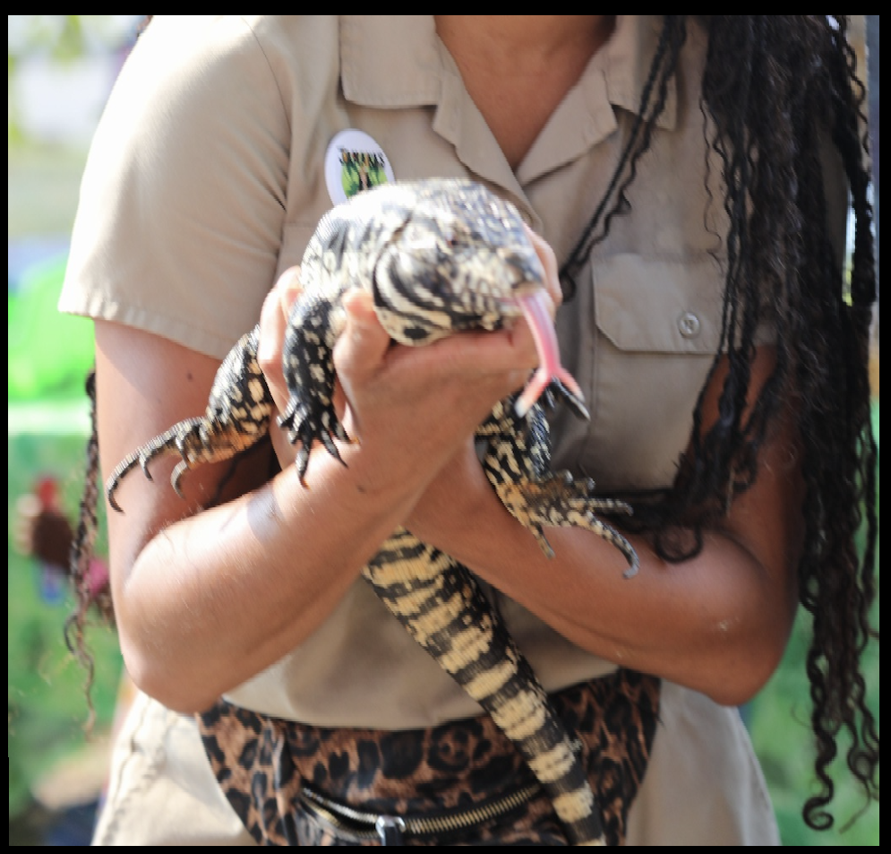 Screenshot 2026-04-04 at 7.17.16 PM.png