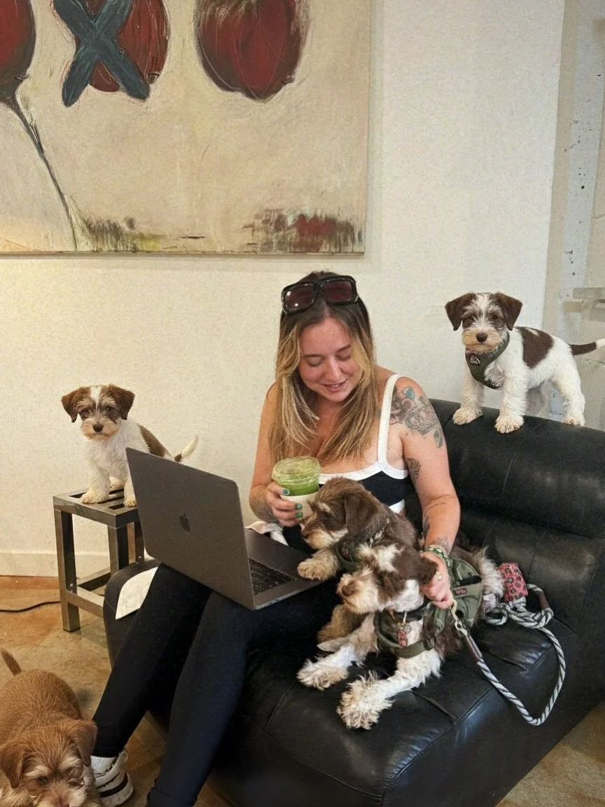 Manifesting the ideal workplace with AI 🐶🤎 it involves Matcha and Miniature Schnauzers&hellip;.

#trend #style #styleinspo #aitrends #brooklyn #nyc