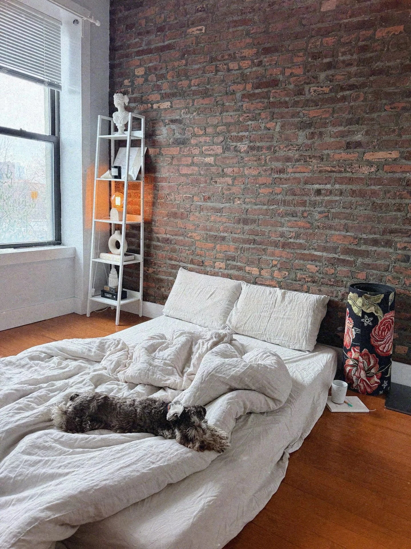 Life lately: living, healing core wounds, and surrendering my heart to the universe. 🌺