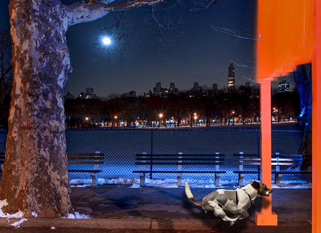 NEW YORK CITY-012.JPG